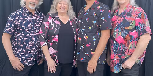 Sugar Push LIVE at The Madison Pub - Flamingo Friday