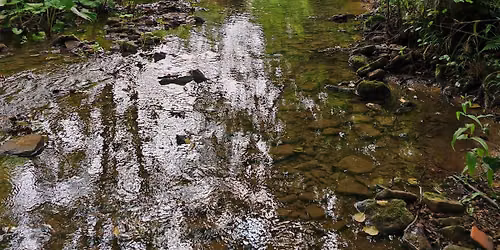 Spa\u00df und Lernen im Wald