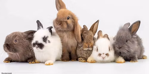 June Monthly Meeting