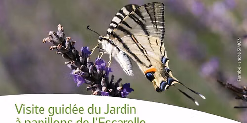 Visite guid\u00e9e du Jardin \u00e0 papillons de l\u2019Escarelle