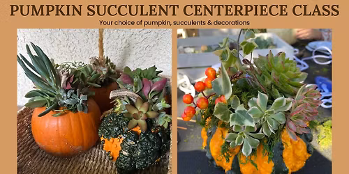 Pumpkin Succulent Centerpiece Class
