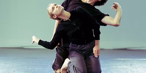 Les Transparents | Anne-Sophie Lancelin \u2014 Cie Euphorbia