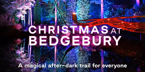 Christmas at Bedgebury 2025