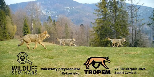 Warsztaty przyrodnicze: „Tropem - rykowisko" — Wildlife Seminars