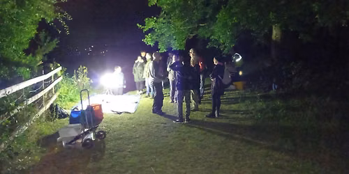 Creatures of the Night at Bradgers Hill