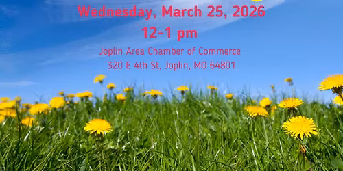 YBIJ Monthly Meeting