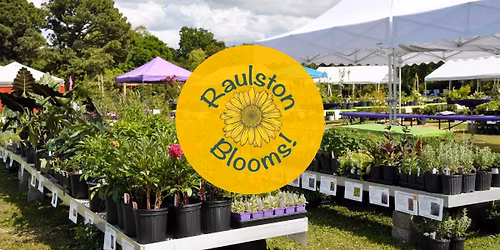 Raulston Blooms!