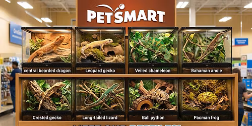Reptiles Event!!