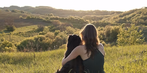 De Verborgen Stem van Dieren \u2013 Workshop Intu\u00eftieve Communicatie \ud83d\udc3e