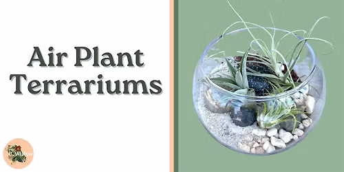 Air Plant Terrarium Workshop