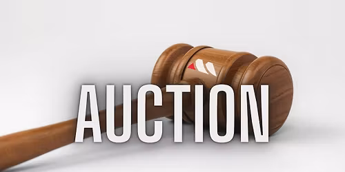 Worcester Equine Sale