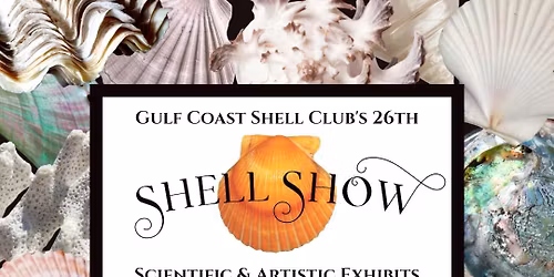 Panama City Beach Shell Show!