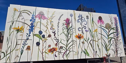 June 2026 Mtg: The Evolution of our Plants and Ecosystem with Ellen Sokolovic
