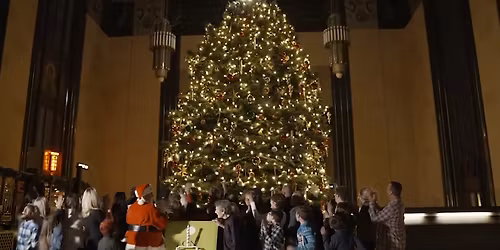 Festival of Lights - Durham