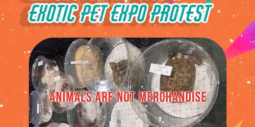 Lancaster Reptile & Exotic Pet Expo Protest \ud83d\udc22