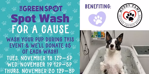 November Spot Wash for a Cause \u2013 Benefiting Muddy Paws Rescue!