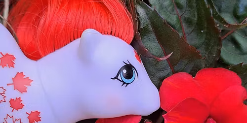 The Canadian Pony Collectors Extravaganza