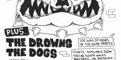 SHEER TERROR / THE DROWNS / THE DOGS @ THE CAB, NEWPORT
