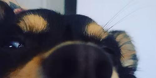 Lord of Life Lutheran Church