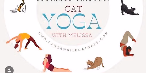Yoga with the Cats! Tickets online