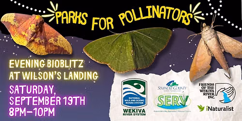 Evening BioBlitz at Wilson's Landing