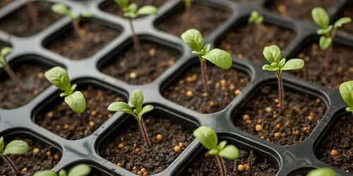 Kom og s\u00e5 med oss!