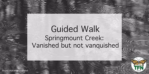 Springmount Creek: Vanished but not vanquished