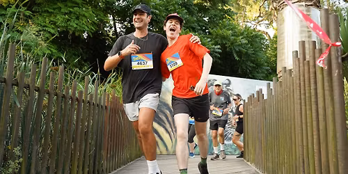 Sunset Series 2026 - The Zoo