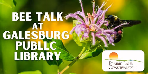 How to Support Midwest Bees at Galesburg Public Library