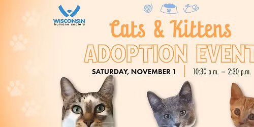 Cats & Kittens Adoption Event! | PetCo Lake Geneva