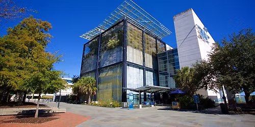 Charleston Aquarium Field Trip 