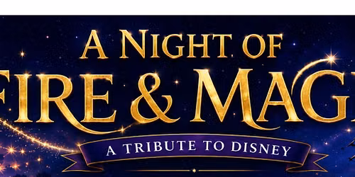 Fire & Magic: A Tribute to Disney Fireworks