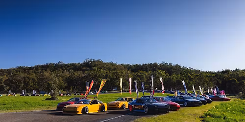 STEEZE IN THE TREES 2.0