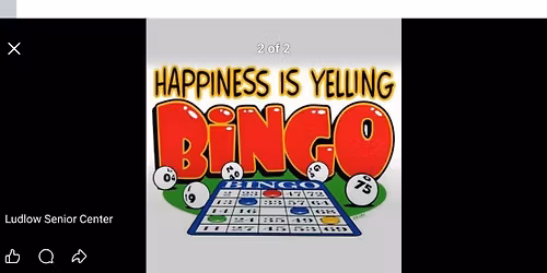 Cheshire Lions Club Bingo