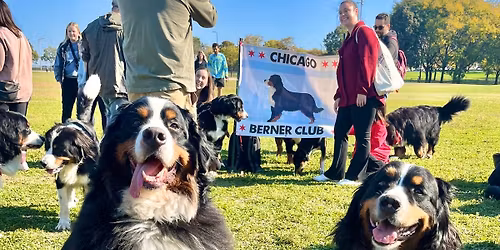 Spring Berner Meet Up \ud83d\udc3b\ud83d\udc90