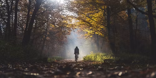 Bakonyi murva \u0151rl\u00e9s