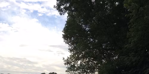 Nuthatch Nonsense 15k