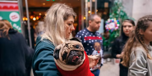 PUG CAFE CHRISTMAS - DERBY