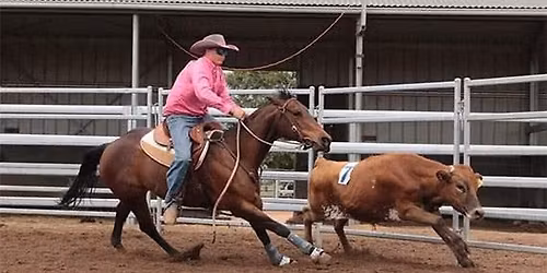 RHASA\/AHTP Cow Working Clinic