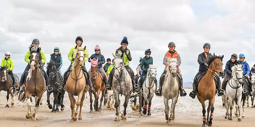 Bay Ride Guided by Kings Guide Michael Wilson 