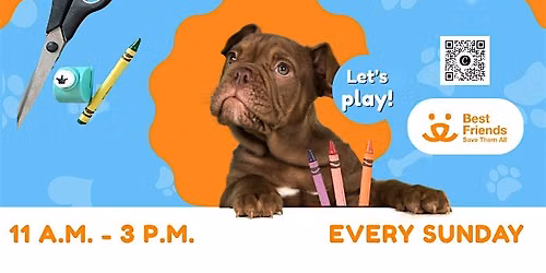 Drop by the Best Friends Pet Resource Center for Pet & Play Sunday!