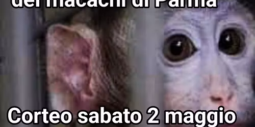 Manifestazione per la liberazione dei macachi di Parma 