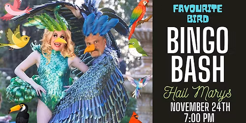 Dress As Your Favourite Bird Bingo Bash at Hail Marys - November 24th