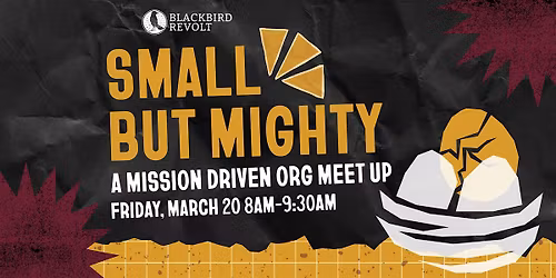 Small But Mighty: A Mission Driven Org Meet Up