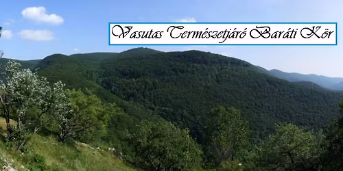 Egy laza novemberi t\u00fara