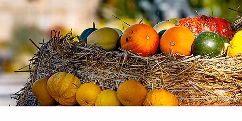 K\u00fcrbisErnteFest