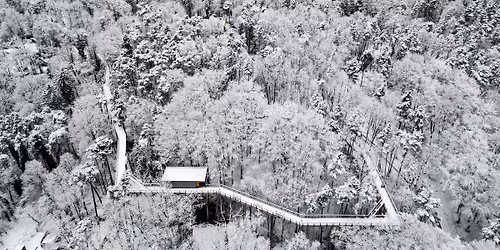 Weihnachtsbasteln in den Waldwipfeln