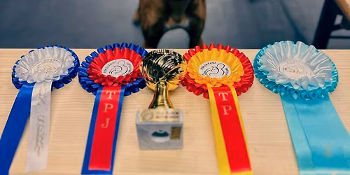 Tallinn Winter Cup 2027 CACIB + CACIB shows
