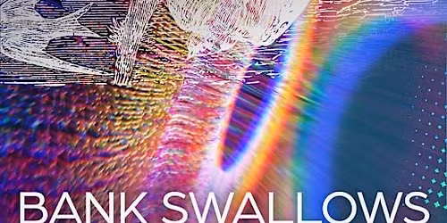 \u2728Beyond Our Senses (Bank Swallows)\u2728