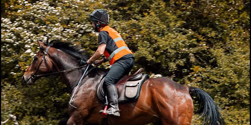 Marshwood Vale Day Ride